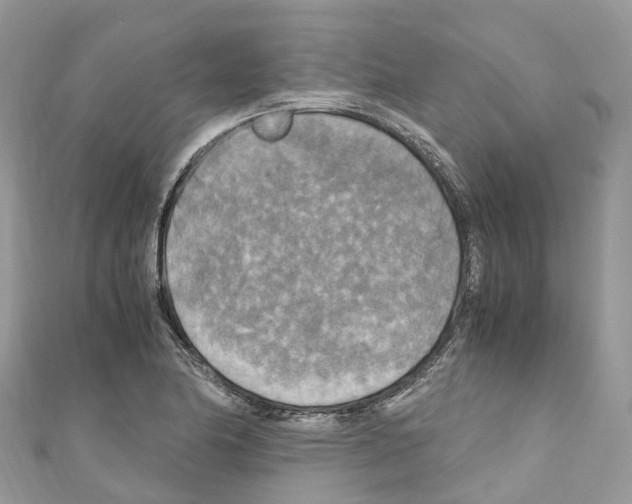 X0000110711174200907241139