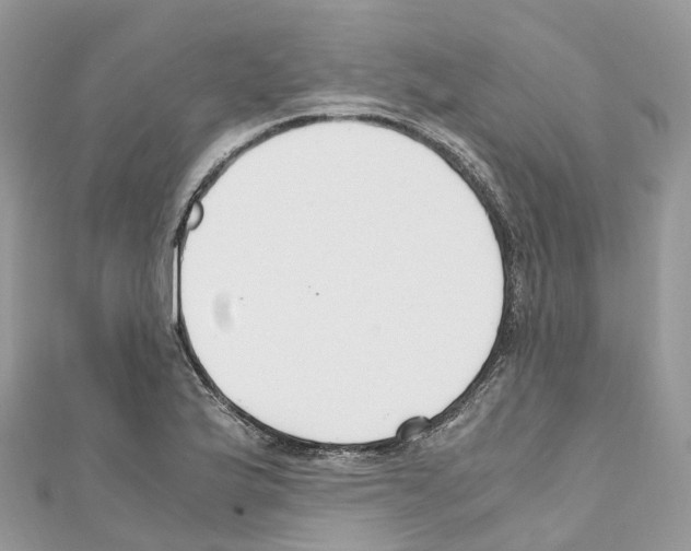 X0000110711175200907241139