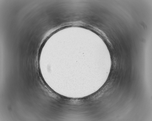 X0000110711176200907241139