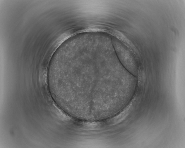 X0000110711177200907241139