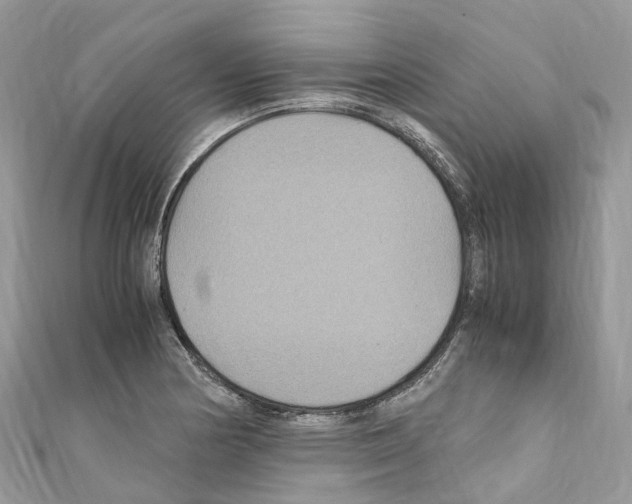 X0000110711178200907241139