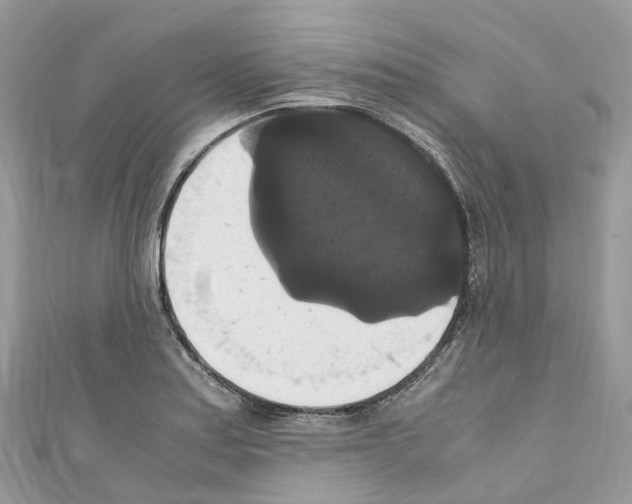 X0000110711179200907241139