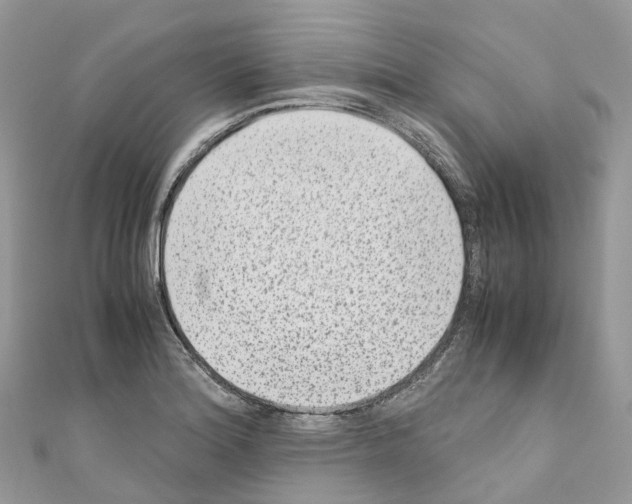 X0000110711180200907241139