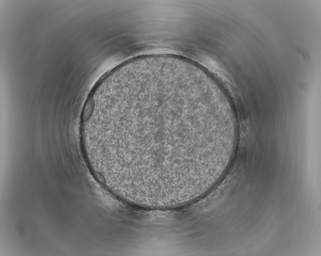 X0000110711181200907241139