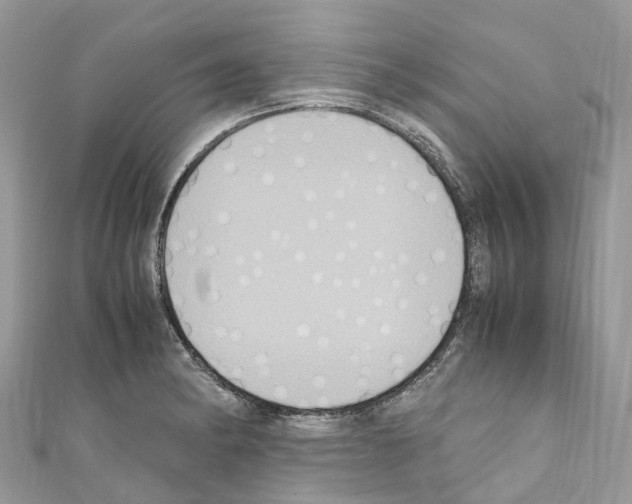 X0000110711182200907241139