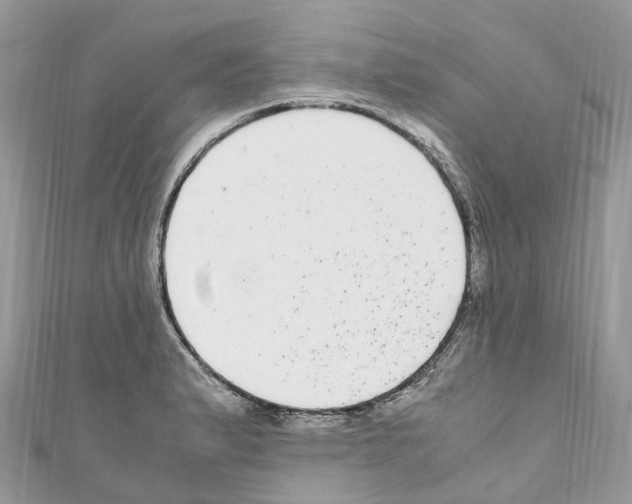 X0000110711183200907241139