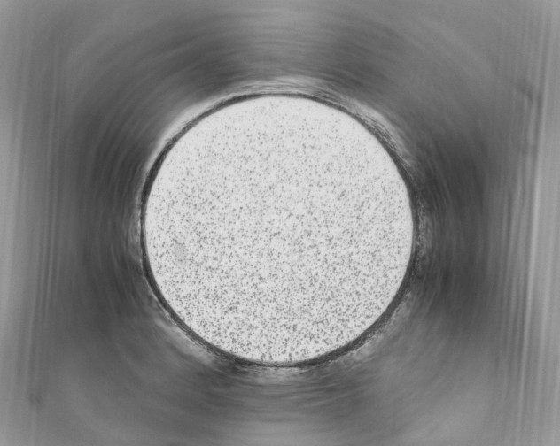 X0000110711184200907241139