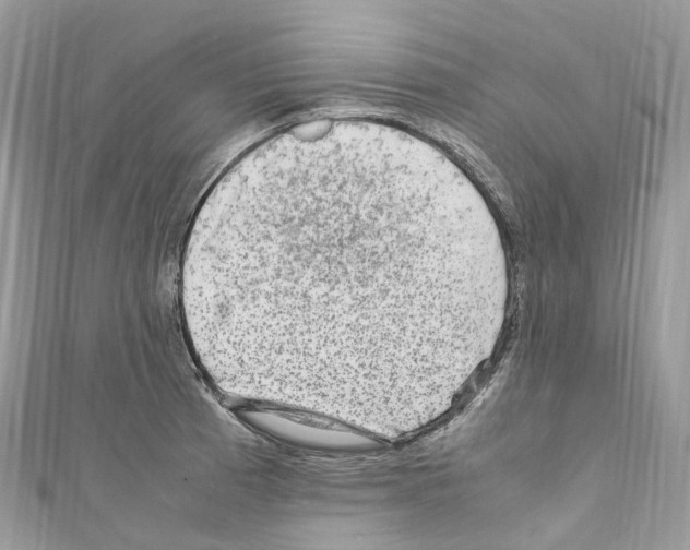 X0000110711185200907241139