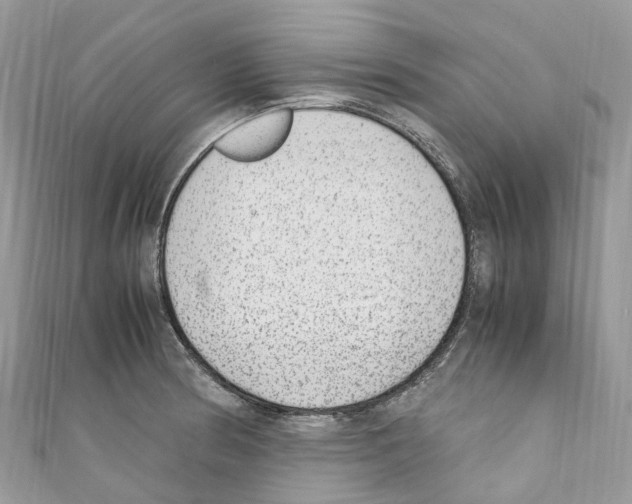X0000110711186200907241139