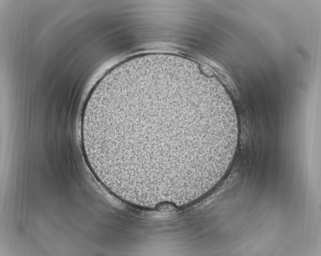 X0000110711188200907241139