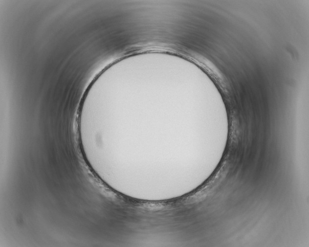 X0000110711190200907241139