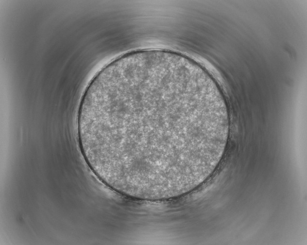 X0000110711191200907241139
