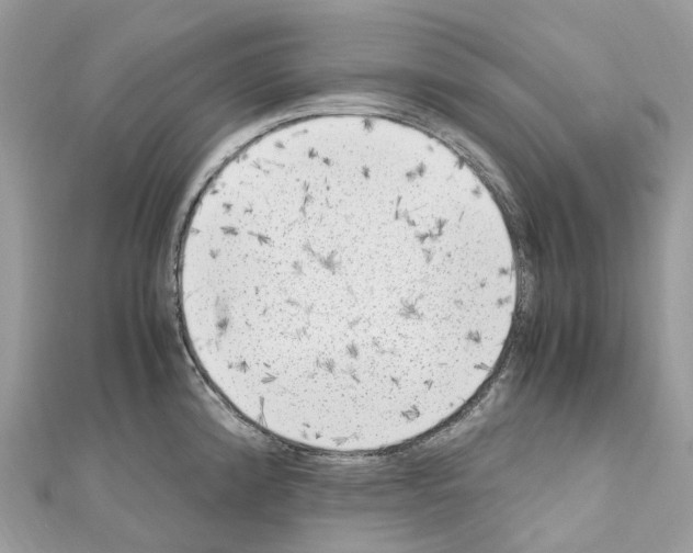 X0000110711192200907241139