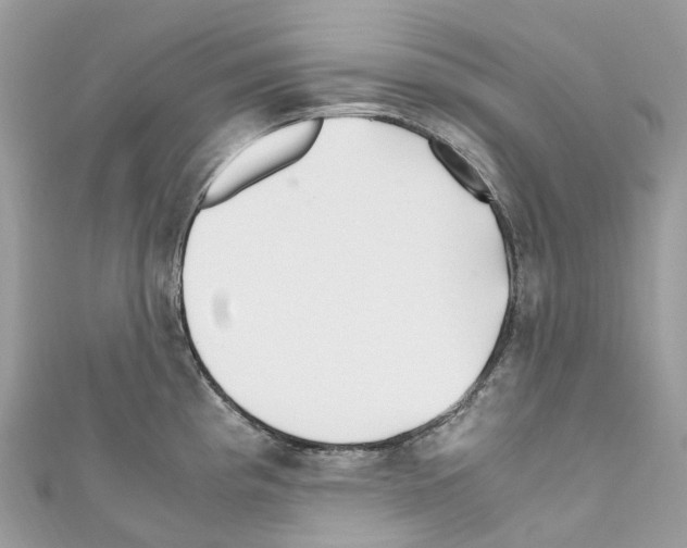 X0000110711193200907241139