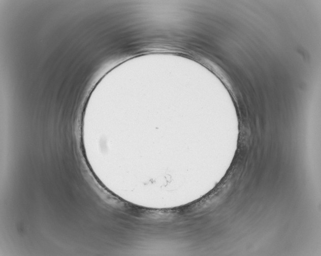X0000110711195200907241139