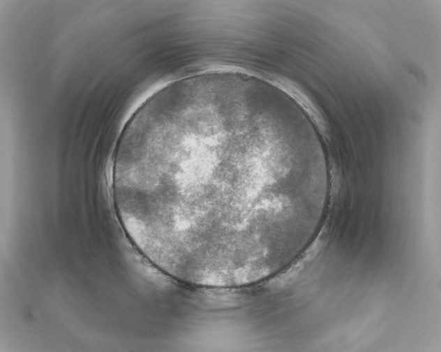 X0000110711198200907241139