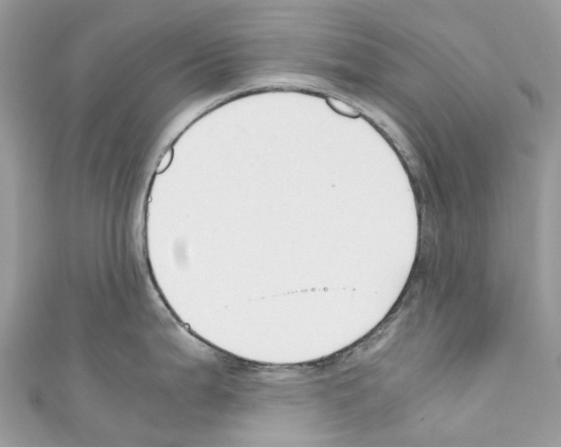 X0000110711199200907241139
