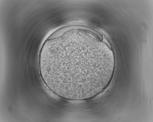 X0000110711200200907241139