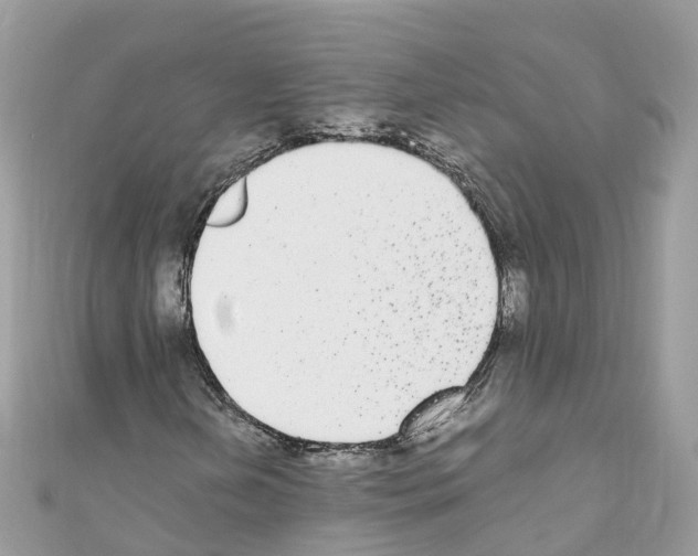 X0000110711202200907241138