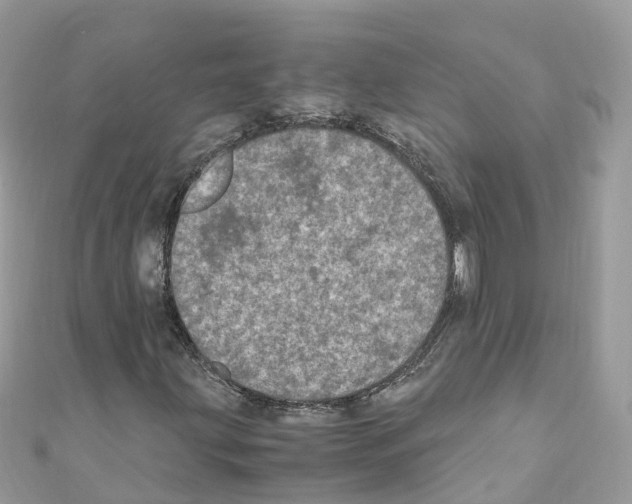 X0000110711203200907241138