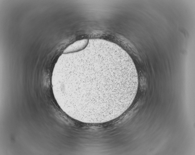 X0000110711204200907241138