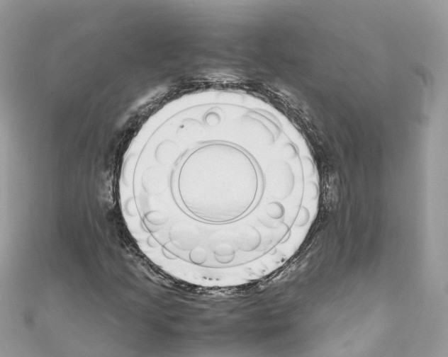 X0000110711205200907241138