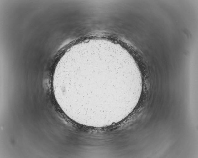 X0000110711206200907241138