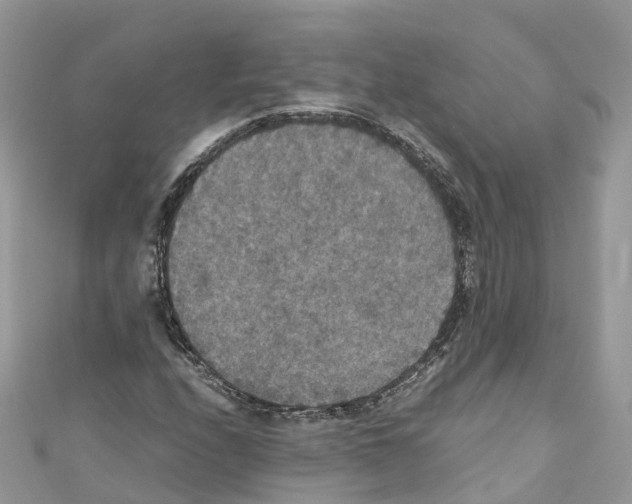 X0000110711208200907241138
