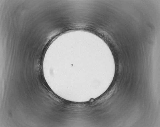 X0000110711210200907241138