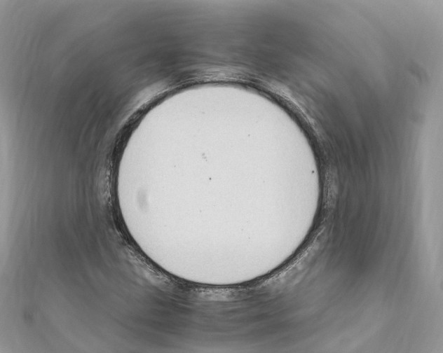 X0000110711211200907241138