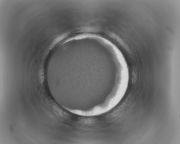 X0000110711213200907241138