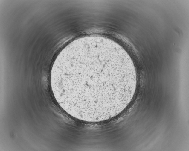X0000110711217200907241138