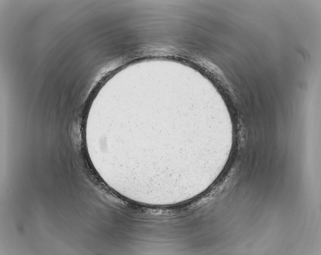 X0000110711218200907241138
