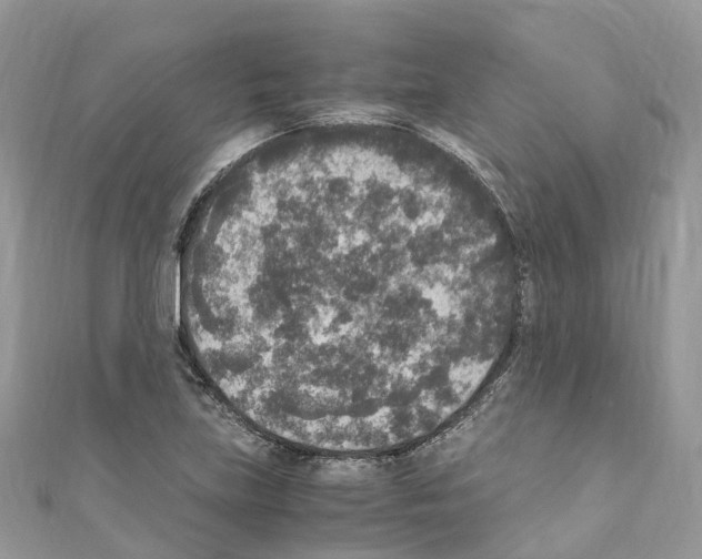 X0000110711219200907241138