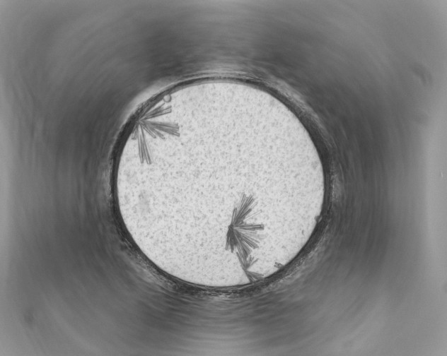 X0000110711222200907241138