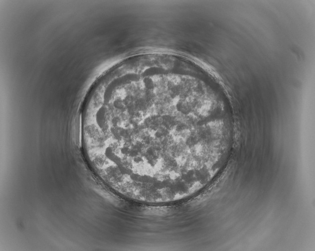 X0000110711223200907241138