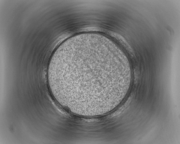 X0000110711225200907241138