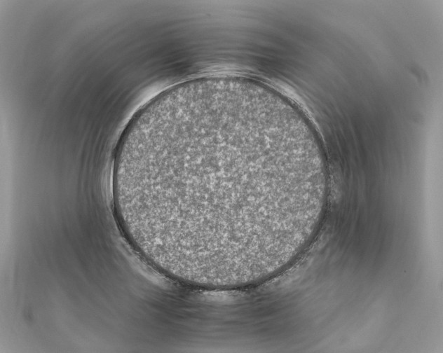 X0000110711227200907241138
