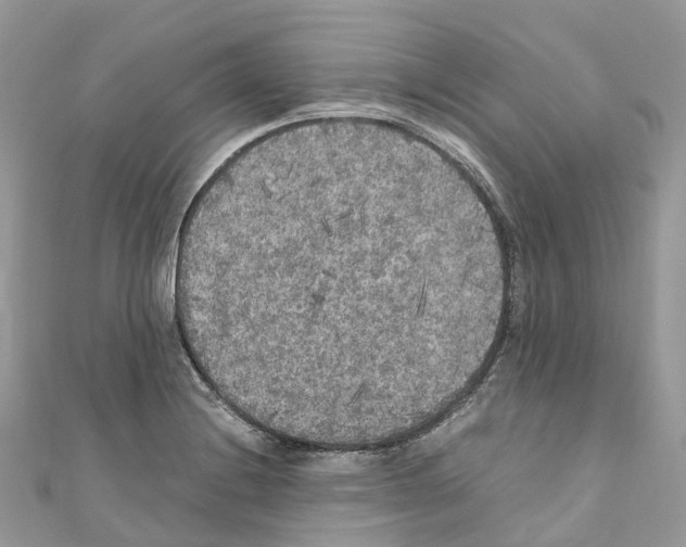 X0000110711228200907241138