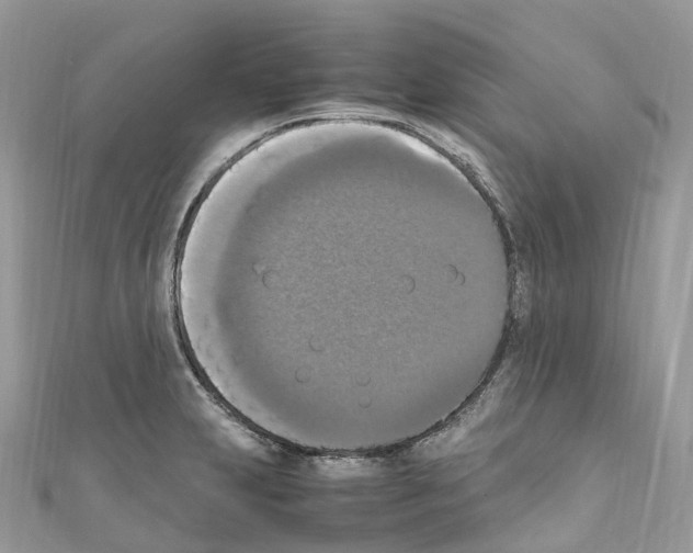 X0000110711231200907241139