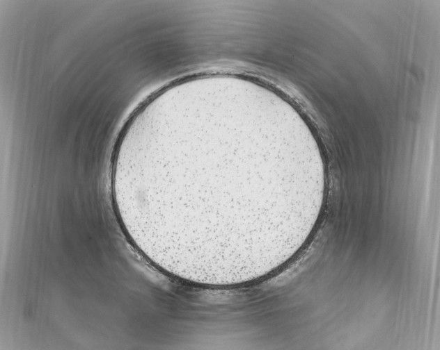 X0000110711232200907241139