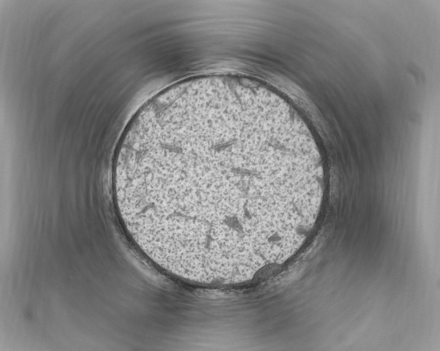 X0000110711234200907241139