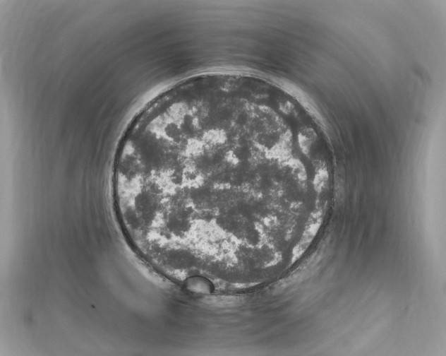 X0000110711237200907241139