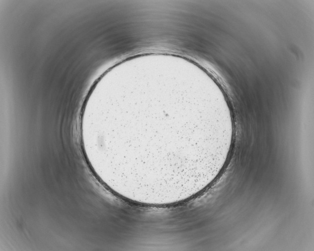 X0000110711238200907241139