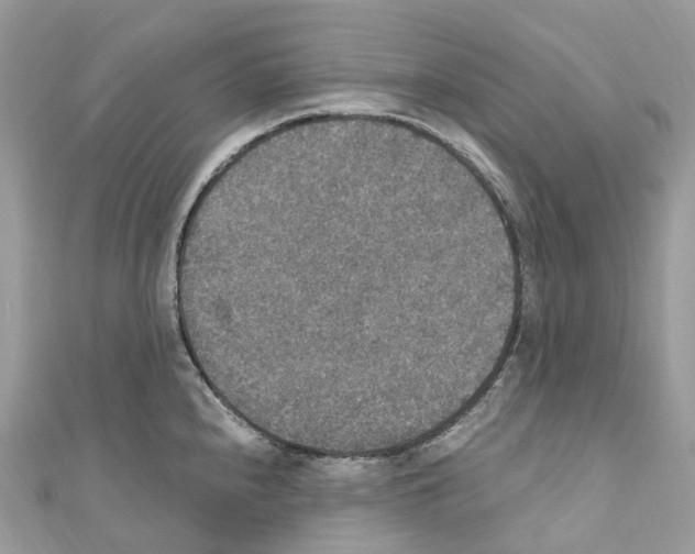 X0000110711240200907241139