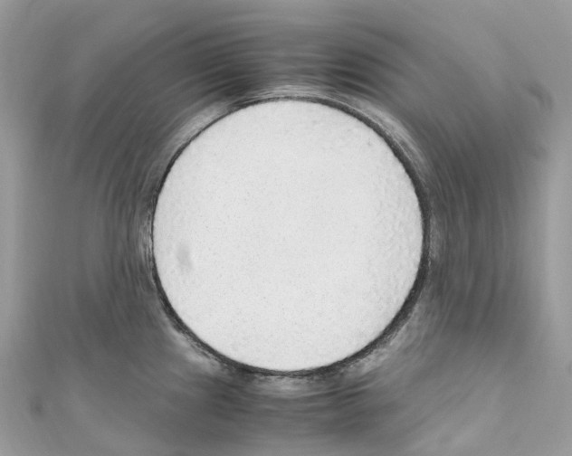 X0000110711241200907241139
