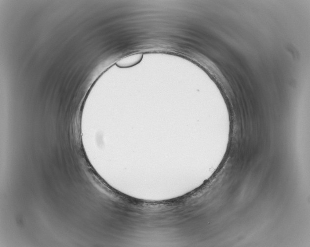 X0000110711242200907241139
