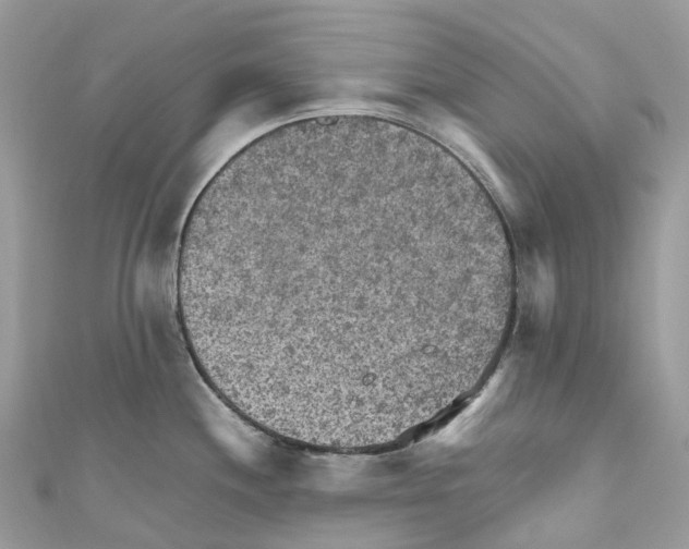 X0000110711244200907241139