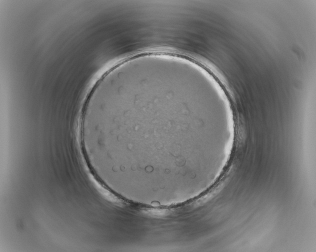 X0000110711245200907241139