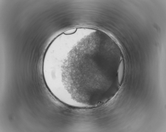 X0000110711246200907241139